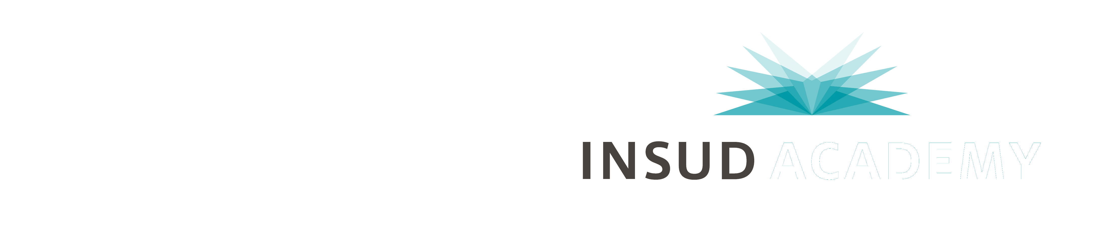 Insudpharma